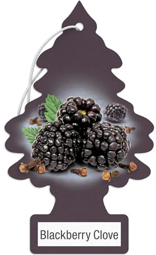 LITTLE TREES Car Air Freshener | Hanging Paper Tree for Home or Car | Blackberry Clove | Pack of 24