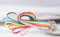 Julius-K9 216IDC-L-OR-0,8 IDC-Lumino Leine phosphoreszierend, 19 mm/0.8 m, ohne Schlaufe, UV orange