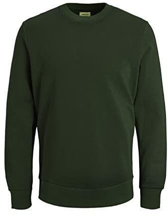JACK & JONES Men's Jjeholmen Sweat Crew Neck Noos Pullover, Green (Rosin/Reg Fit), XXL