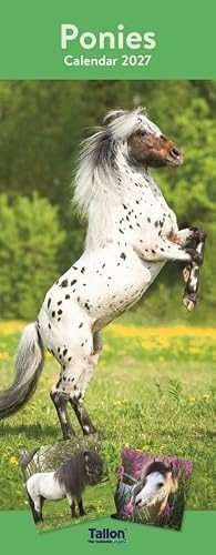 2026 Super Slim Month to View Spiral Bound Hanging Wall Calendar Home Office (Ponies)