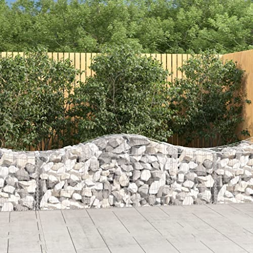 INLIFE Paniers à gabions arqués 30 pcs 200x50x60/80 cm Fer galvanisé