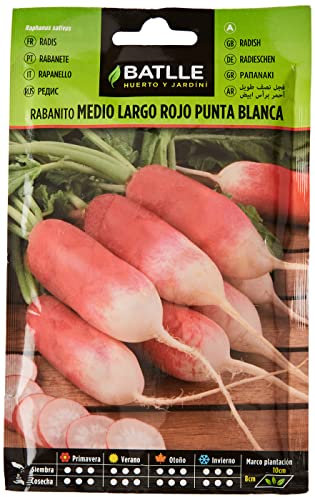 Semillas Batlle Rabanito medio largo rojo P.BLANCA