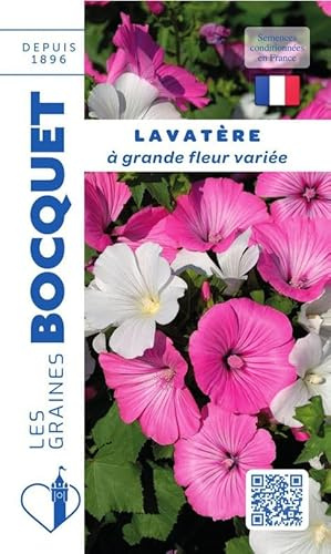 Sachet de graines de Lavatère à grande fleur varié - 2 g - fleur annuelle - LES GRAINES BOCQUET