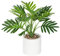 ATMOSPHERA CREATEUR D'INTERIEUR Palma con macetero de Cemento Blanco Etnik Altura 29, Normal