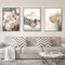 3er Premium Poster Set Schilf Natur Leinwandbilder Moderne Wandbilder Bilder Wohnzimmer Schlafzimmer Boho Pampasgras ohne Rahmen Stilvolle Home Vintage Beige Bilderrahmen（No Rahmen） (A,30x40cm)