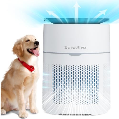Purificador de aire para oficina en casa, salida de entrada de aire de 360°, filtro HEPA portátil para polvo de habitación, humo, polen, mascotas, caspa de perro, gato, olor, modo automático de bajo