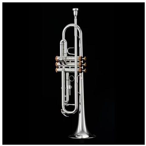 Trompete B-Blechtrompete professionelles Instrument