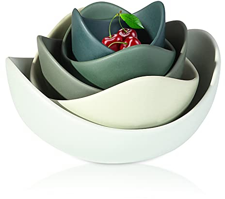 Notakia Schüssel Set 5er Pack aus Porzellan Keramik Servierschalen im Lotus Design für Salat, Müsli, Obst, Reis & Pasta - Spülmaschinen- und Mikrowellenfest Ideal für Haushalt, Küche und Restaurant