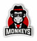 AMA SHOP Aufkleber Gorilla Monkey aus PVC für Wandmontage Auto Motorrad Wohnmobil