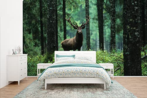 Selbstklebend Tapete Wandpapier Wandaufkleber Fototapete Tapeten Wanddeko 400x240 cm Hirsche - Wald - Bäume - Tiere - Natur