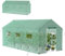 Froadp Serre de 4,5 x 2 x 2 m - Protection contre le gel - Avec fenêtre - 9 m² - Résistant à l'hiver - En tube galvanisé - Pour jardin, plantes, légumes, vert