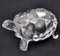 Petrichor Fengshui Vastu Original klar Kristall Schildkröte für Frieden & Wohlstand - Home Office Dekoration und Geschenk (Small - 3 Inch)