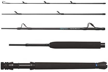 DAM Salt-X Travel Boat, Länge 2,10m, Vier Modelle mit Testkurven von 12lb - 50lb, SeaGuide Komponenten, Transportlänge 48cm, 5-teilig (2,10m - 50lb)