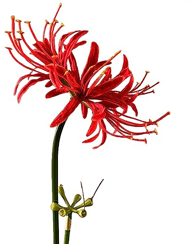 Qingriver Lycoris Radiata Lot de 4 tiges de lys araignées artificielles pour décoration de Jardin Rouge 67 cm