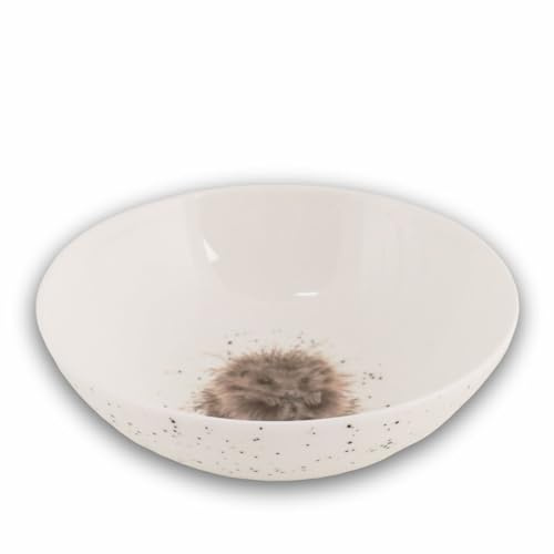 Wrendale Designs Porzellan Müsli Schale flach, Motiv Igel, ca. 15,3 cm D, ca. 400ml von der britischen Künstlerin Hannah Dale für Müsli Dessert Nachtisch Eiscreme Snacks- & Suppen oder als Geschenk