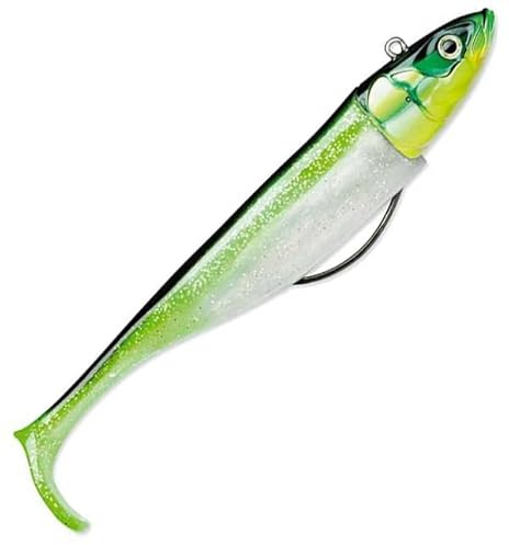 BISCAY SHAD 14-47G CGR
