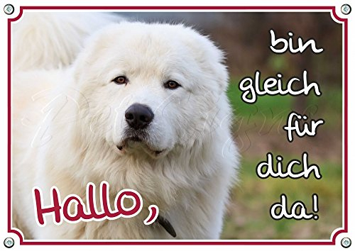 Petsigns Warnschild Maremmen-Abruzzen-Schäferhund - Hundeschild aus Metall - TOP, DIN A5