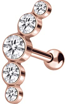 PIERCINGLINE Chirurgenstahl Ohrpiercing 5 Kristalle Ohrschmuck Helix Piercing Stecker Roségoldfarben 5 x 14,5 mm