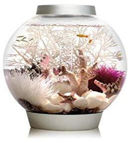 biOrb CLASSIC 15 LED Kugel-Aquarium, 15 Liter - Aquarien Komplett-Set mit LED Beleuchtung und patentiertem Filter-System, Acryl-Becken