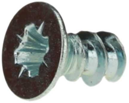 Reidl Thermoplaste Senkkopf Schraube 4 x 10 mm A2 500 Stück