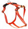 Feltmann Hundegeschirr - Soft-Nylonband Reflektierend orange, Bauchumfang 75-100 cm, 25 mm Bandbreite