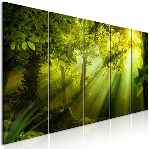 murando - Akustikbild Wald 5 tlg Bilder Akustikschaum Schallschutz Wand Deko Kunst Akustikpaneele Wandpaneele Schalldämmung Wandbild Schallabsorber Akustikplatten Waldlandschaft grün Baum c-B-0361-b-m