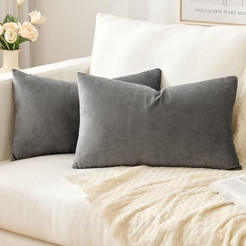 Slozzi 2er Set Samt Kissenbezüge Haushalt Dekokissen Dekorative Kissenhülle Weich Sofakissen für Sofa Schlafzimmer Wohnzimmer 30x50 cm Grau
