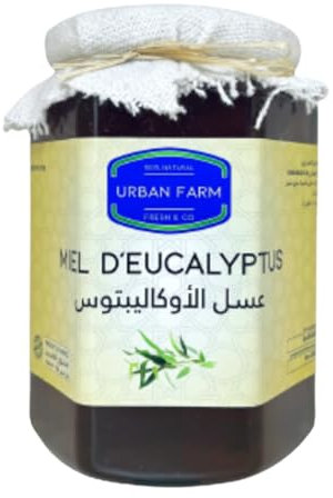 miel d'eucalyptus de Maroc