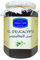miel d'eucalyptus de Maroc