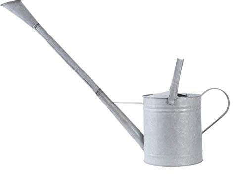 Regadera de zinc con capacidad de 6,2 litros con tubo de vertido extralargo
