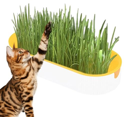 Cat Grass Growing Kit - Hydroponic Cat Grass Set | Plant Growing Set Hydroponic Cat Grass, Soil- Cat Snacks For Digestion Pet Food For Indoor Nursery Balcony Patio
