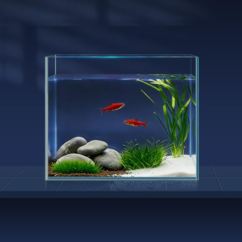 LAQUAL 3.8L-Aquarium-Set mit Fischnetz, Wasserwechsel-Schlauch & 2 Reinigungstüchern, kristallklarem Glas, Ideal für Betta, schöne Wohn-Dekoration