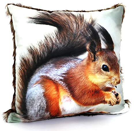 heimtexland ® Kissenhülle Eichhörnchen 40x40 cm mit Fell - hochauflösender Digital-Fotodruck auf samtig weichem Velour Kissen Hüttenstil Waldtiere Dekokissen Typ587