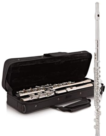 Flauta Travesera de Estudiante con Estuche Gear4music
