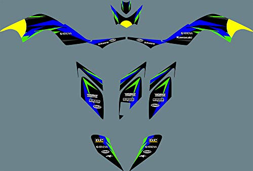 ruilian Motorrad-Aufkleber, Grafik-Set für Yamaha Raptor 700 2006-2012, Wasserdicht, Kratzfest, Vinyl, Metall