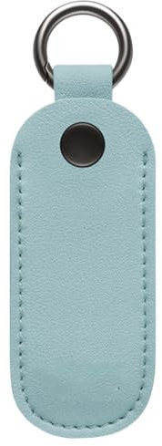 Memory Stick Case - Compact Durable Case, Multiple Use Key Ring | Organized in PU Leather USB Kale: A leather flash drive case with a leather flash drive case, a flashdrive case for commuting to work