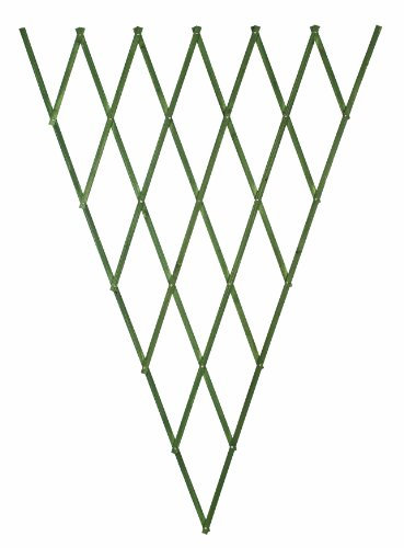 Fan Trellis - 180x90 cm, green
