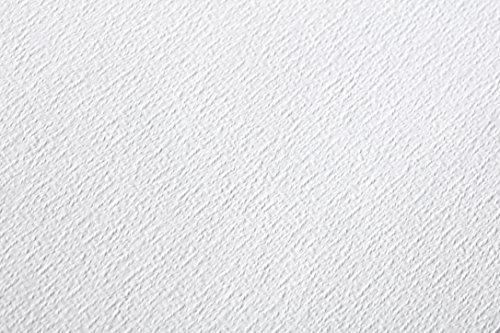 Clairefontaine 96403C - Un paquet de 25 feuilles de papier dessin Etival grain classic 56x76 cm 300g, Blanc