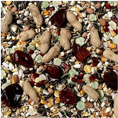 Johnston & Jeff 10kg No 1 Parrot bird seed food sold by Trusty Pet Supplies