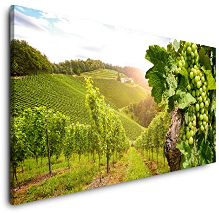 Wein Felder 120x 60cm Panorama Leinwand Bild XXL Format Wandbilder Wohnzimmer Wohnung Deko Kunstdrucke