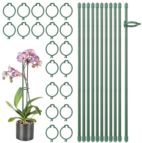 Giantree Pflanzenstab, 10 Stück 30cm Pflanzenstab mit 20 Stück Pflanzenbinder, Orchideen Stäbe Blumenstütze Zimmerpflanzen Orchideen Stäbe Kunststoff Rankhilfe Zimmerpflanzen Kunststoff