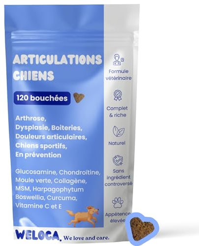 Arthrose Chien | 120 compléments Premium | 11 Actifs puissants hautement dosés (Moule Verte, harpagophytum, chondroïne, Glucosamine) | Anti-arthrose, mobilité retrouvée | Formule vétérinaire
