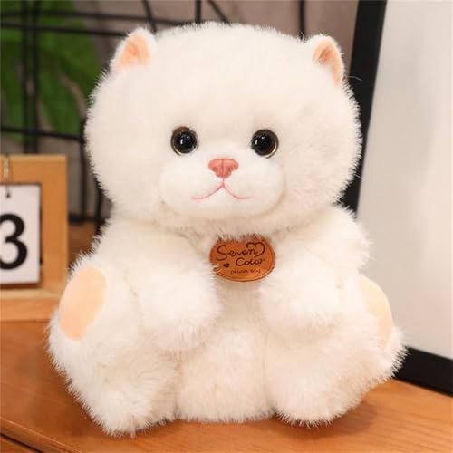 champracer Kuscheltier Katze Lebensecht, Realistische Katze Figur Plüschtiere,Simulation Kurzhaar Nette Katze Puppe Flauschigen Plüsch Kätzchen, Kinder Freunde Familien (weiß sitzen,25 cm)