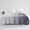 Odot Bettdecke Ohne Bezug Nutzbar Sommer, Waschbare Bettdecke Ohne Bezug Dünne Sommerbettdecke Leicht Kühldecke Sommerdecke für Bett Sofa (Farbverlauf Grau,200X230cm)