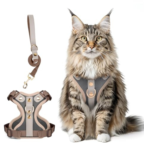 Ausbruchsicheres Katzen Geschirr & Leine Set, Verstellbares Reflektierendes Geschirr mit Atmungsaktivem Mesh und Hochwertigem Leder für Katzen & Kätzchen (Dunkelgrau, L)