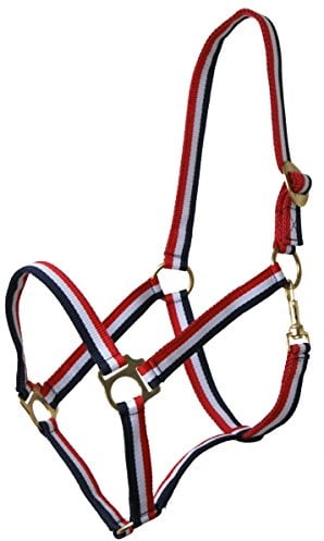 ARBO-INOX Halfter goldene Beschläge QHP rot-Weiss-blau Größe Full Warmblut