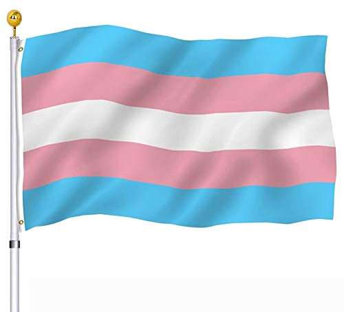 Transgender Trans Pride Regenbogen-Flagge, 90 x 152 cm, für den Außenbereich, LGBT-Pride-Flaggen, Banner mit Messingösen für Außenwand