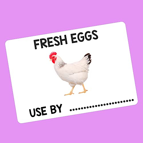 Chicken Egg Box Labels 180 Poultry Duck Personalised Carton Boxes Stickers use b