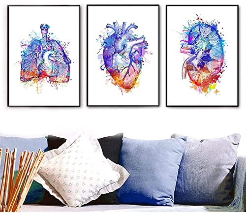 AIVYNA Nordic Anatomie Poster,Vintage Stil Wanddekor Abbildung Von Herz,Lunge Und Nieren,Verschiedene Menschliche KöRper Medizin Bilder,äRzte BüRo-Dekor Wandbilder Rahmenlos 60×80cm×3pcs
