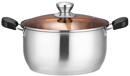 Marmite en acier inoxydable de 9 litres avec couvercle à vapeur, multicuiseur pour cuisinières à induction et à gaz(22cm)